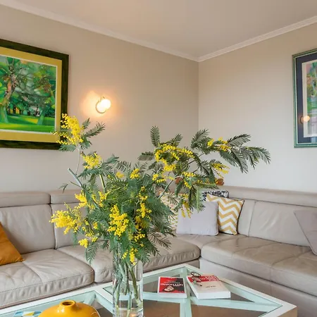 Grande Terrasse Vue *